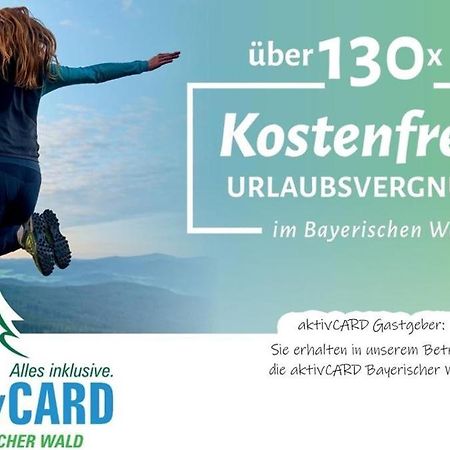 Chalet Huettendorf 49 Gradnord Байериш Айзенщайн Екстериор снимка